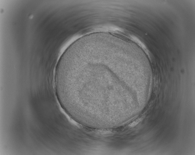 X0000081451103200702021736