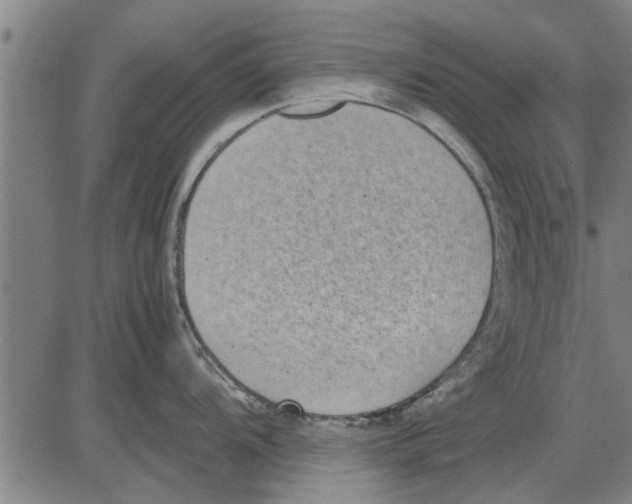 X0000081451104200702021736