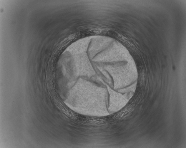 X0000081451105200702021735