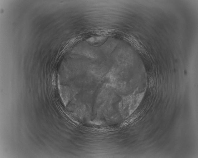 X0000081451106200702021735