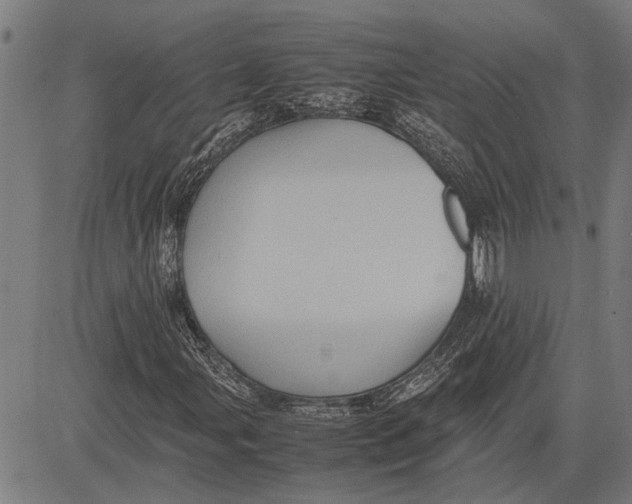 X0000081451107200702021735