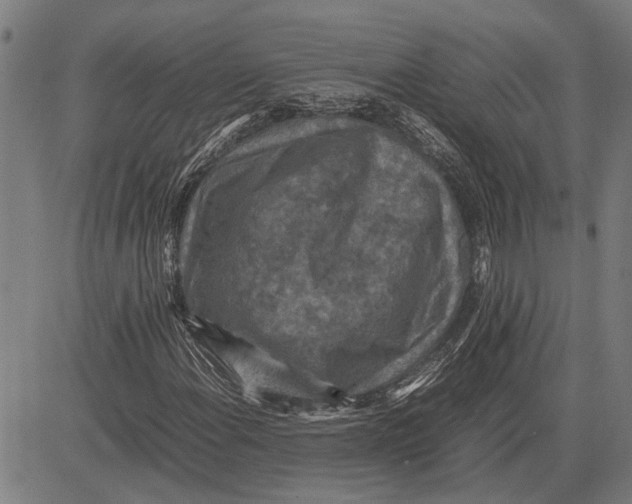 X0000081451108200702021735