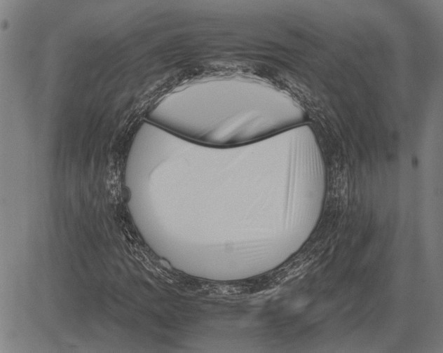 X0000081451109200702021735