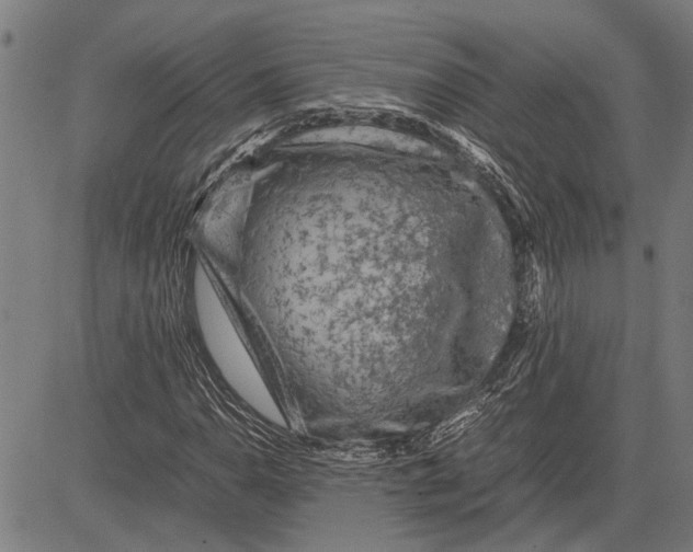 X0000081451110200702021735