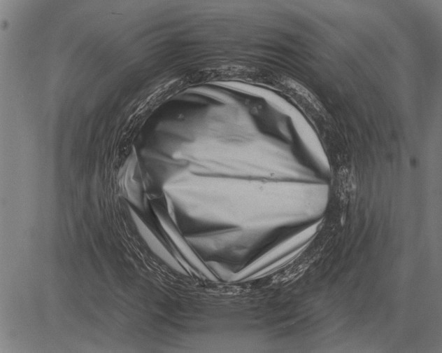 X0000081451111200702021735