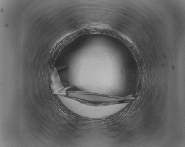 X0000081451112200702021735