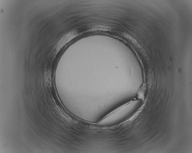 X0000081451113200702021735