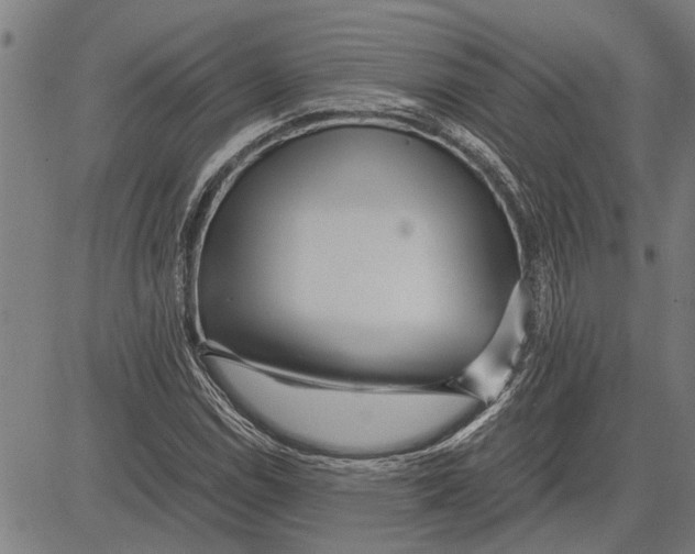 X0000081451114200702021735