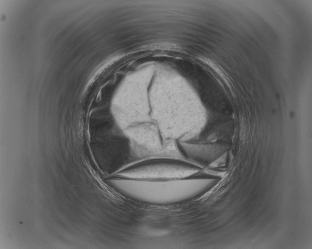 X0000081451115200702021735