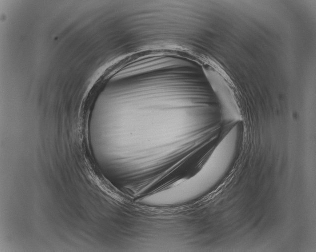 X0000081451116200702021735