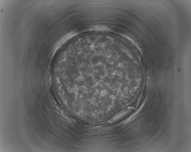 X0000081451117200702021735