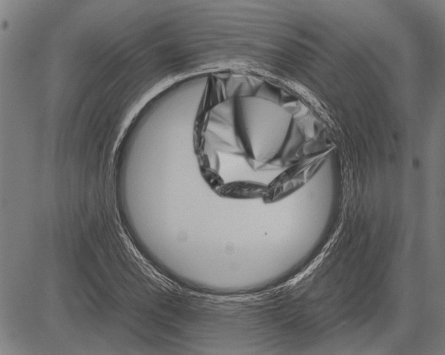 X0000081451118200702021735