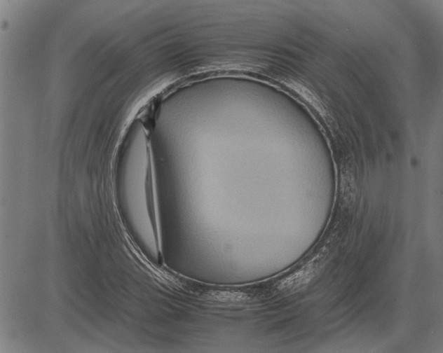 X0000081451119200702021735