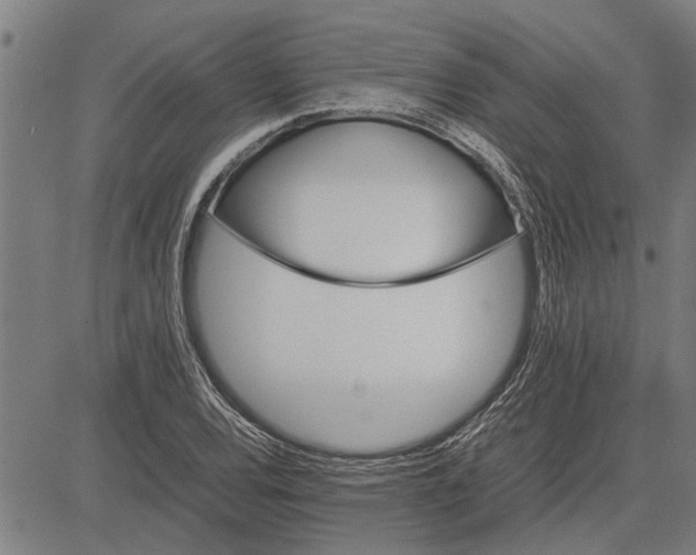 X0000081451120200702021735