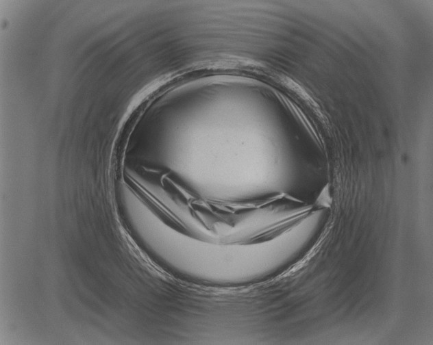 X0000081451122200702021735