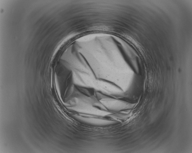 X0000081451123200702021735