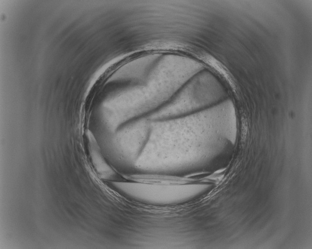 X0000081451124200702021735