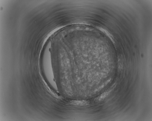 X0000081451125200702021735