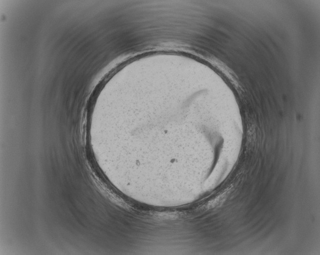 X0000081451126200702021735