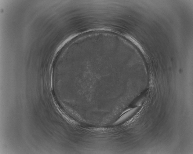 X0000081451127200702021735