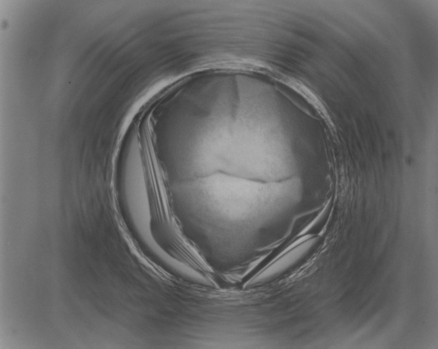 X0000081451128200702021735