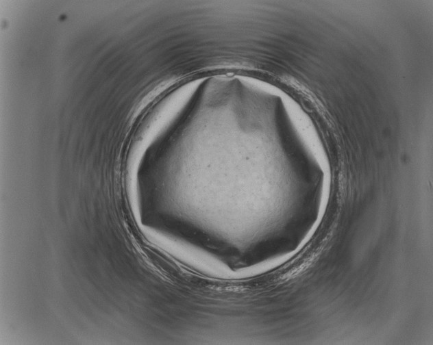 X0000081451129200702021735