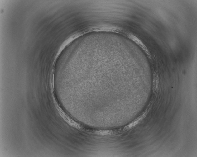 X0000081451130200702021735