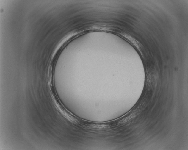 X0000081451131200702021735