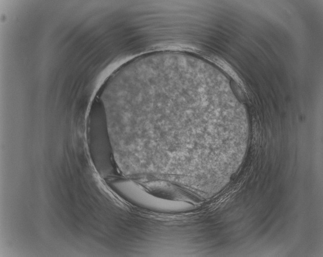 X0000081451132200702021736