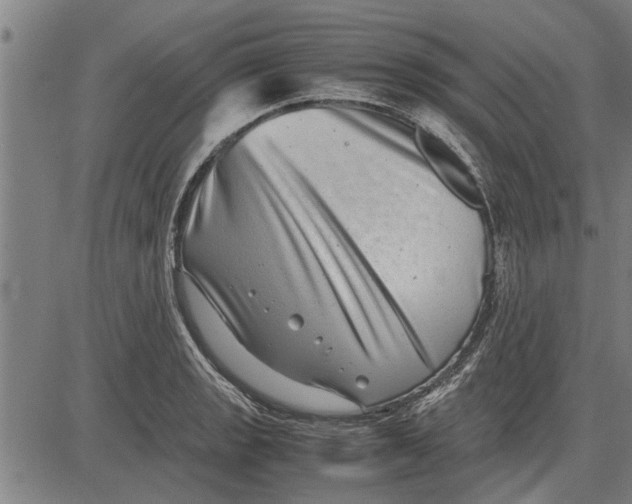 X0000081451133200702021736