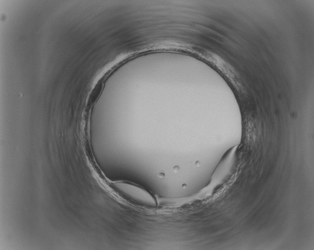 X0000081451134200702021736