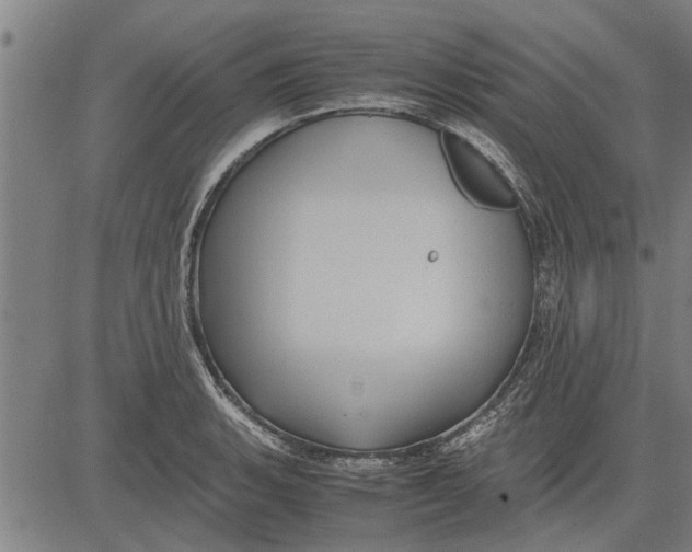 X0000081451135200702021736