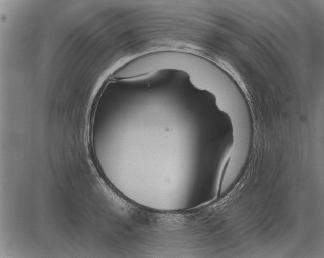 X0000081451136200702021736