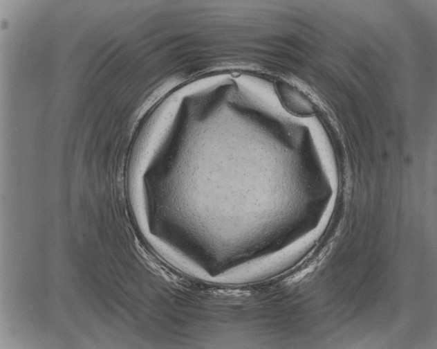 X0000081451137200702021736