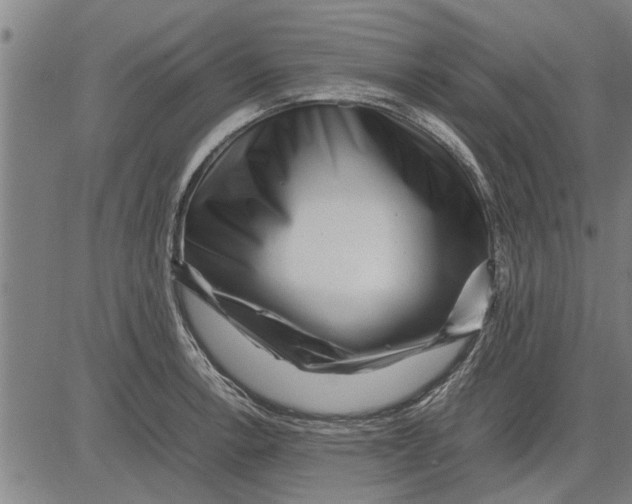 X0000081451138200702021736