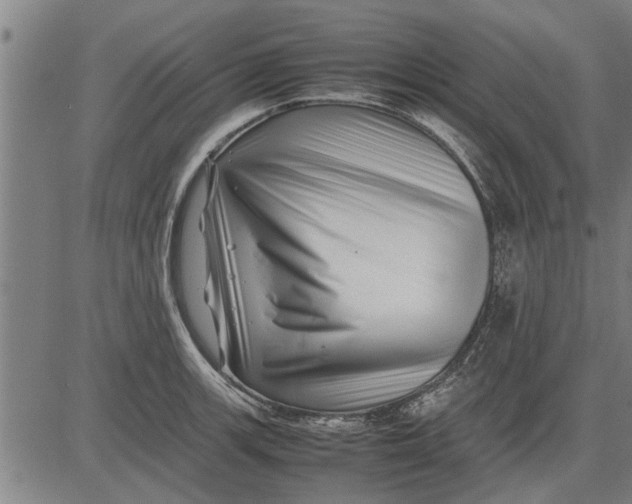 X0000081451139200702021736