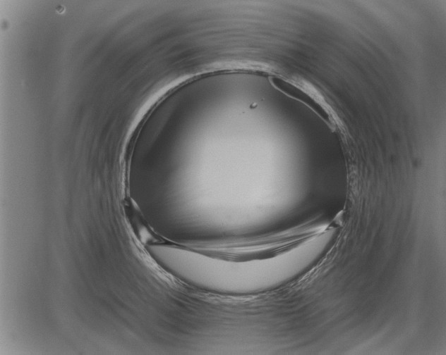 X0000081451140200702021736