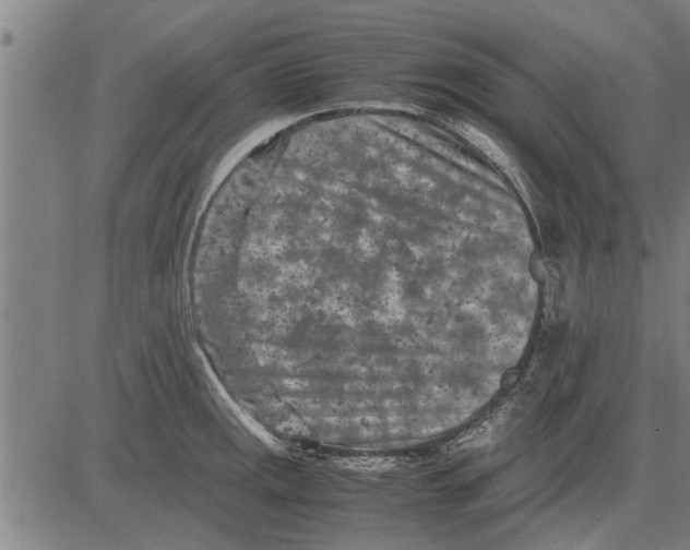 X0000081451141200702021736