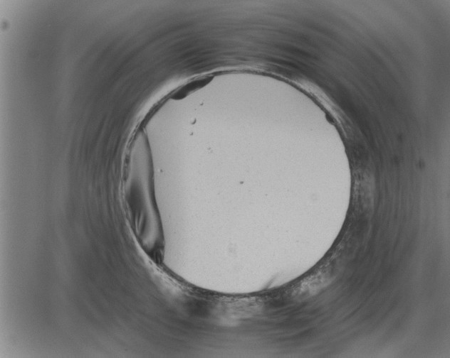 X0000081451143200702021736