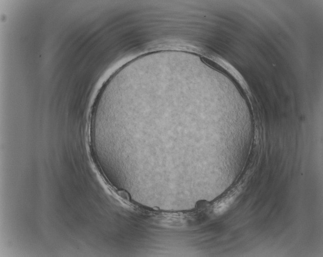 X0000081451144200702021736