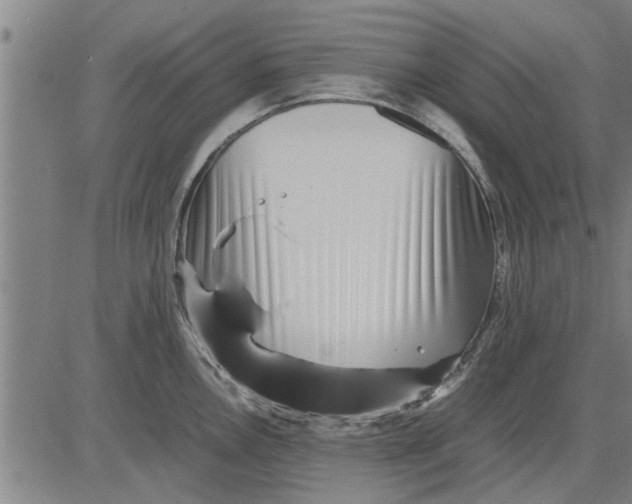 X0000081451146200702021736