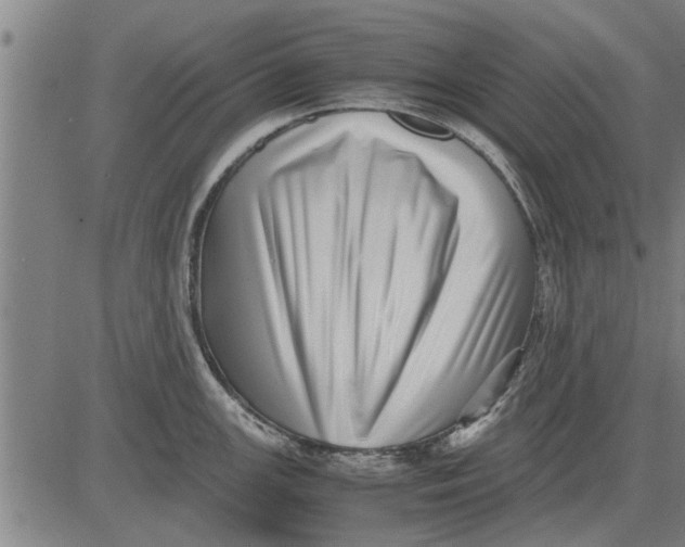 X0000081451147200702021736