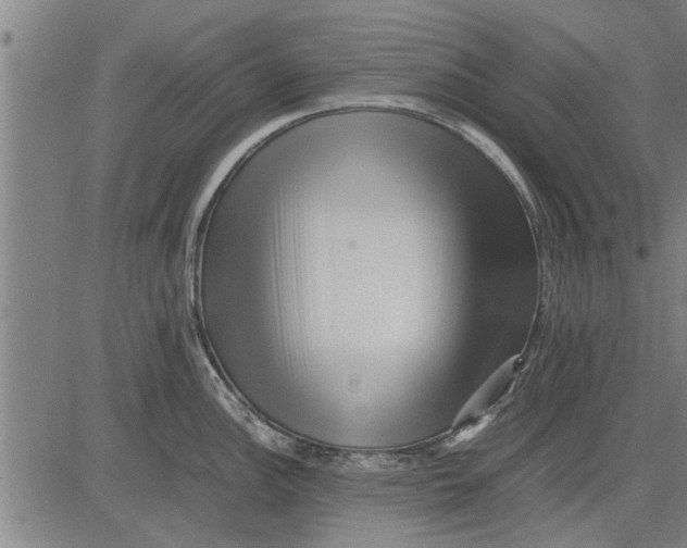 X0000081451148200702021736