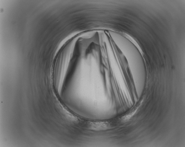 X0000081451149200702021736