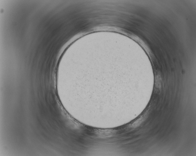 X0000081451150200702021736