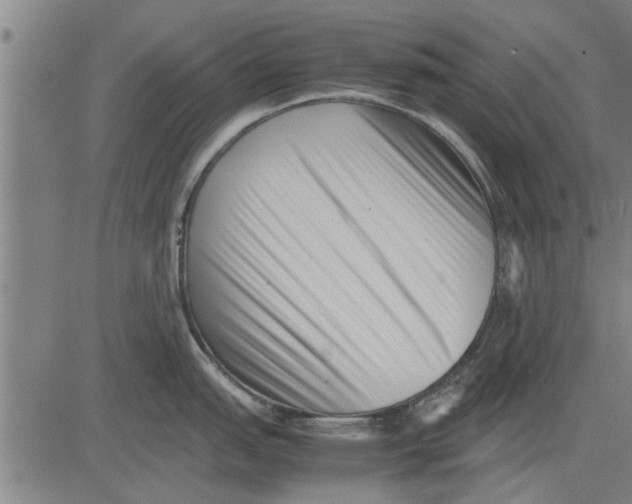 X0000081451151200702021736