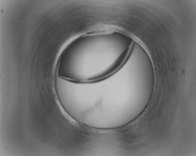 X0000081451152200702021736