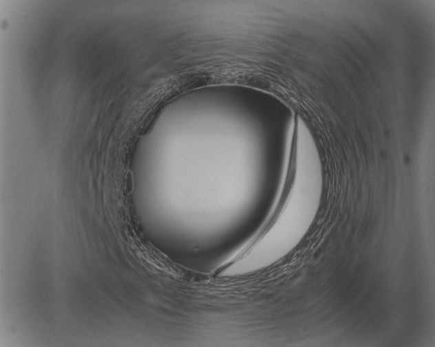 X0000081451153200702021735