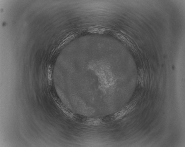 X0000081451154200702021735