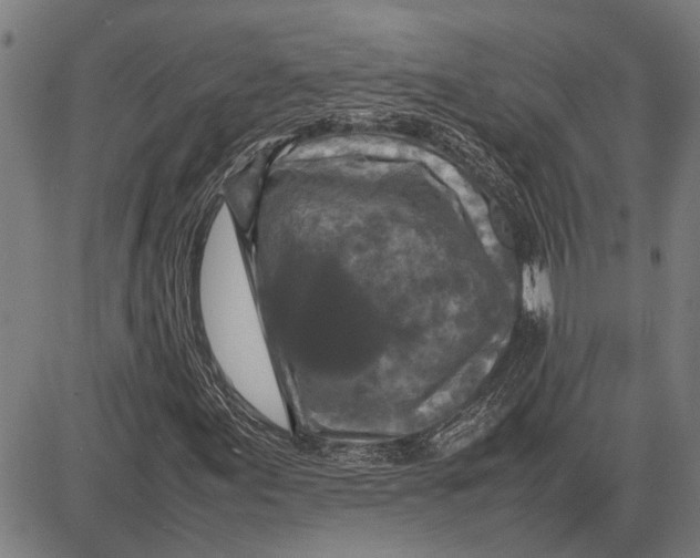 X0000081451155200702021735